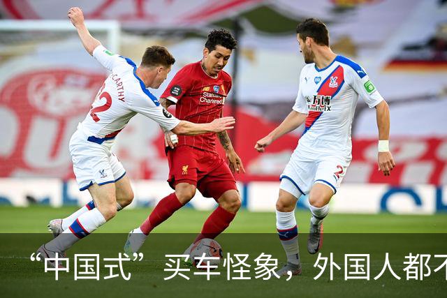“中国式”买车怪象，外国人都不理解：看看你是不是也这样？