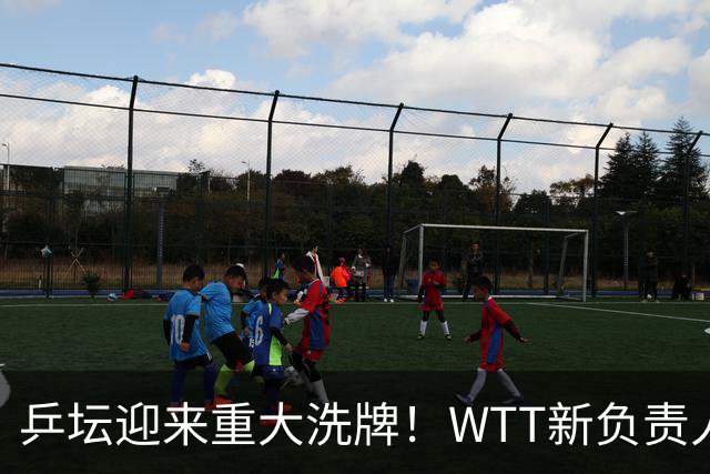 乒坛迎来重大洗牌！WTT新负责人正式上任，刘国梁回归再添悬念