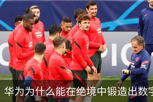 华为为什么能在绝境中锻造出数字主权