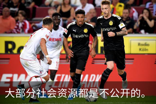 大部分社会资源都是不公开的。