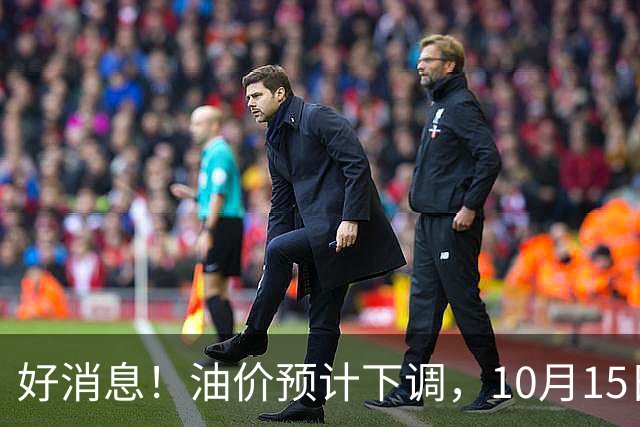 好消息！油价预计下调，10月15日24时调价，92、95号多少钱？