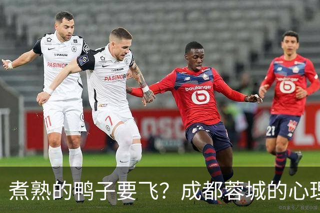 煮熟的鸭子要飞？成都蓉城的心理魔怔
