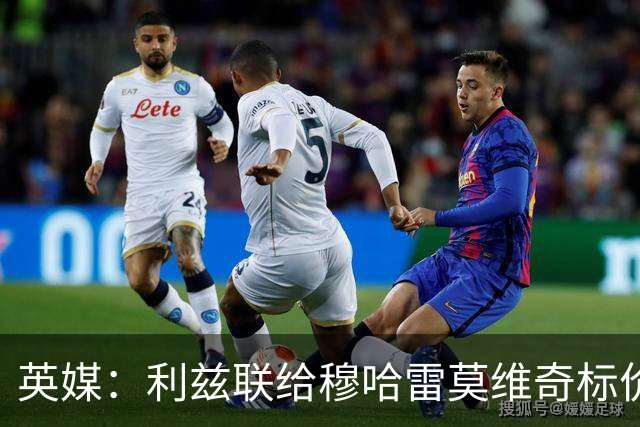 英媒：利兹联给穆哈雷莫维奇标价6000万镑，但1月不卖
