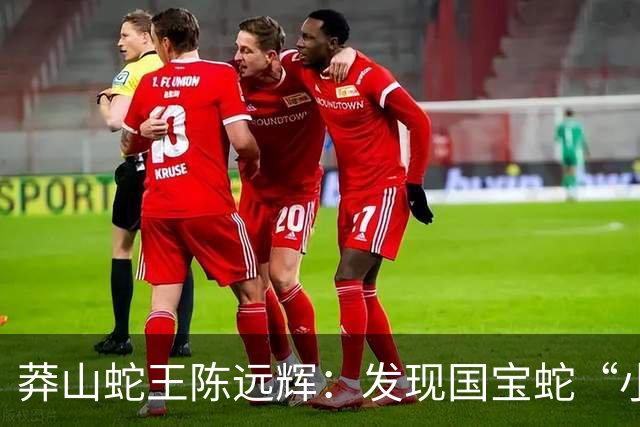 莽山蛇王陈远辉：发现国宝蛇“小青龙”，养100多条每条价格千万
