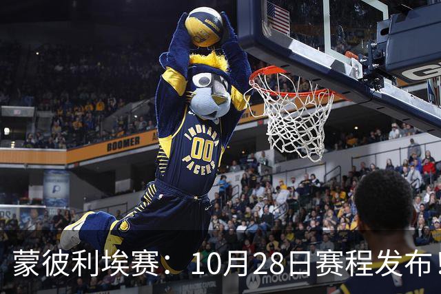 蒙彼利埃赛：10月28日赛程发布！国乒5人出战，王曼昱大迪迎强敌