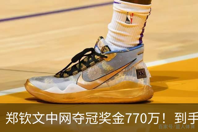 郑钦文中网夺冠奖金770万！到手仅380万 还得靠商业收入兜底