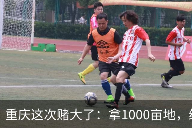 重庆这次赌大了：拿1000亩地，给无人机修所大学！