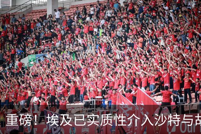 重磅！埃及已实质性介入沙特与胡塞武装的冲突