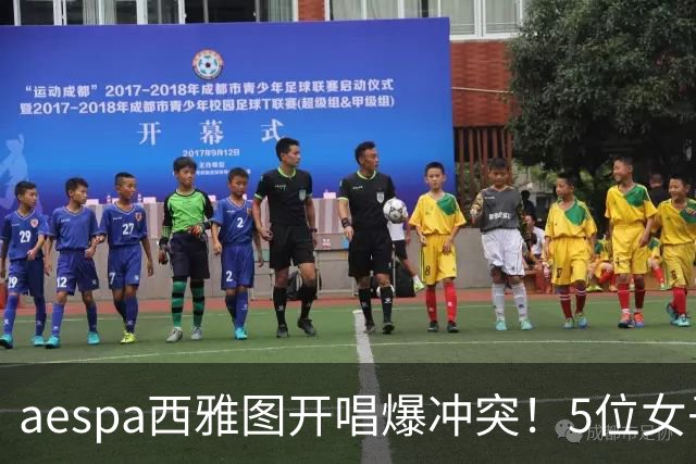 aespa西雅图开唱爆冲突！5位女子拖地互殴、压制 冲击影片疯传
